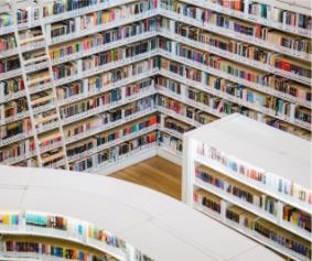 Schools Library Service